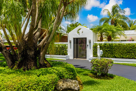 Beautiful facade of a luxury mansion located in Pinecrest, Miami-Dade with a vine on the wall, surrounded by trees and palms, short grass, driveway, front door, green, street and bの写真素材