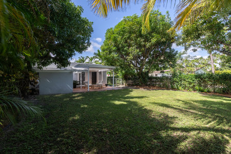 Beautiful patio with a wooden shed, with armchairs and an outdoor table in the West Flagler neighborhood, in Little Havana, short grass, privet walls, trees and palm trees, light bの写真素材