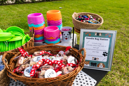 Outside Pet Dog Event Meeting Expo on Public Park with Green Short Grass in USA. Table with Dog plates, Handmade Baskets showcasing Dog Treats, Leashs and Toys.の写真素材