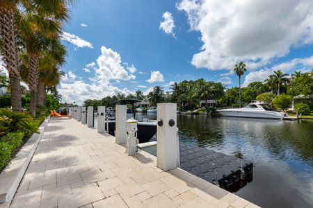 Florida, USA. Swimming pool, trees, chairs. Urban landscape with blue sky, reflecting pool and ocean, city architecture, and scenic enviroment. White chairs on a beautiful tropicalのeditorial素材