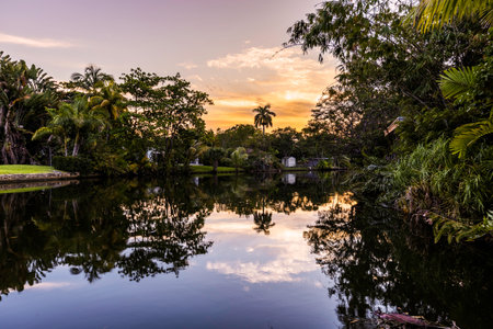 Garden in Florida, USA. clear Blue Sky with some Clouds, Natural Abundant Vegetation with lots of Trees that Creates an Armonic Atmosphere.の写真素材