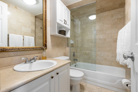 Photoshoot Footage located in Florida, USA. Clean, modern bathroom with refreshing shower, reflecting mirror, Bathtub and sleek tiles.の写真素材