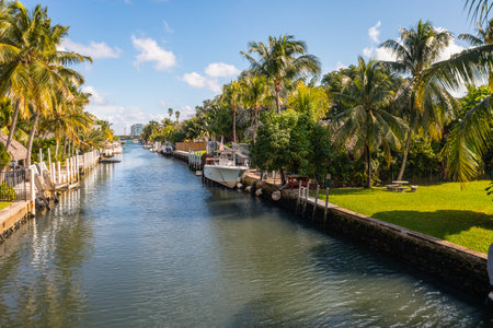 Canal with boats and palm trees in Fort Lauderdale, Florida.の写真素材