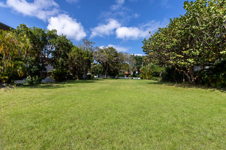 Green grass field in the garden with blue sky and white clouds.の写真素材