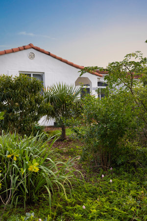 Tropical garden with house and palm trees in the background.の写真素材