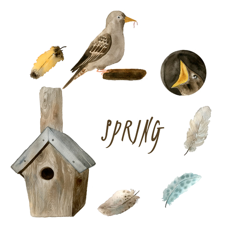Collection of watercolor bird Robin, branches, spring twigs and feathers, illustration in vintage style.の写真素材
