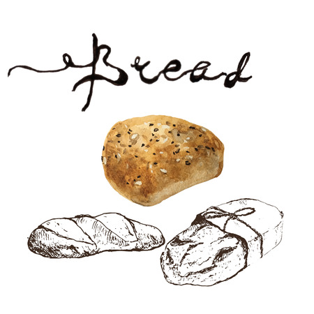 Bread, bakery product watercolor and pen sketch drawing with lettering. Fresh loaf of bread, baguette, croissant and sweet bun, pretzel. Natural organic bread, bakery shop design for menusの写真素材