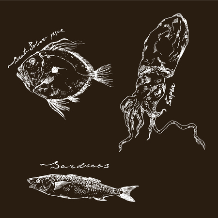 Hand drawn ink pen John Dory fish and lettering. Colored illustration for cards and travel broshures and menusのイラスト素材