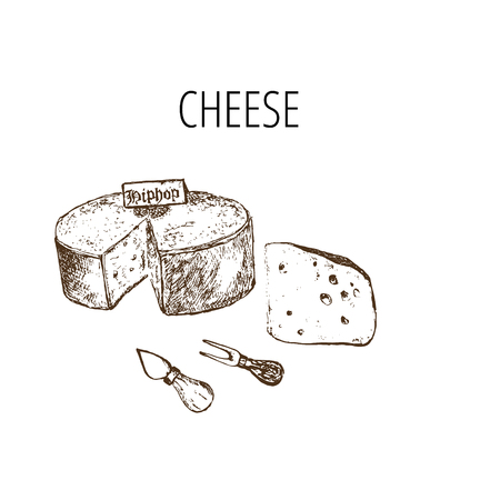 Cheese collection. Vector hand drawn illustration of cheese types . Sketch isolated on whiteのイラスト素材