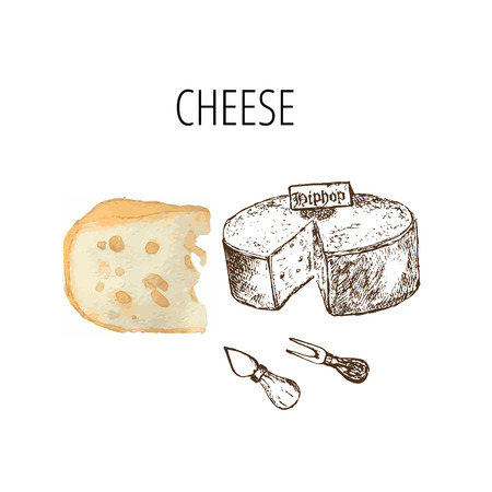 Variety of cheese sorts. Hand drawn illustration of cheese types . Sketch isolated on white and colored vector for menus and shop stickersのイラスト素材
