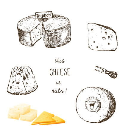 Variety of cheese sorts. Hand drawn illustration of cheese types . Sketch isolated on white and colored vector for menus and stickersのイラスト素材