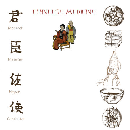 Ginseng sketch on white background. Medicinal plant illustrationのイラスト素材