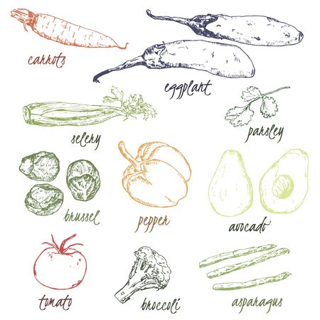Vegetables vitamin and ecological vector background. Hand drawn sketch vegetables. Can be used for vegan products, eco restaurant menu, farmers market and organic food store.のイラスト素材