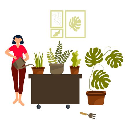 Young woman watering houseplants at home isolated composition, caring for indoor plants, hobby flat cartoon vector illustration. Girl with water can planting greenery at home and potted greenery.のイラスト素材