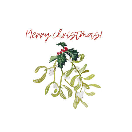 Holly winter berries and mistletore Christmas watercolor wall decoration and Merry Christmas...
