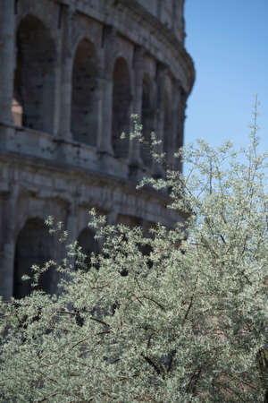 Colosseum of Rome in Italy. High quality photo