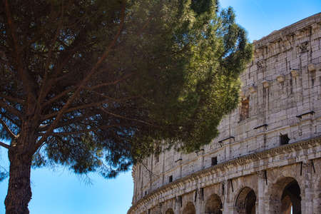 Colosseum of Rome in Italy. High quality photoの写真素材