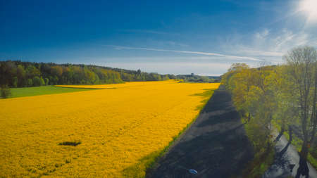 Stockholm Ekero - Aerial view of a Rapeseed field 20-04-01. High quality 4k footageの写真素材