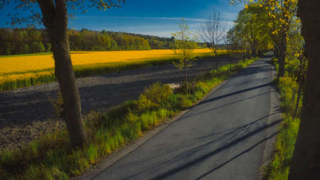 Stockholm Ekero - Aerial view of a Rapeseed field 20-04-01. High quality 4k footageの写真素材