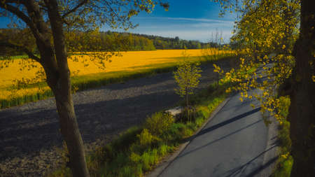 Stockholm Ekero - Aerial view of a Rapeseed field 20-04-01. High quality 4k footageの写真素材