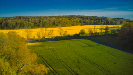 Stockholm Ekero - Aerial view of a Rapeseed field 20-04-01. High quality 4k footageの写真素材