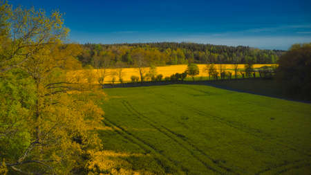 Stockholm Ekero - Aerial view of a Rapeseed field 20-04-01. High quality 4k footageの写真素材