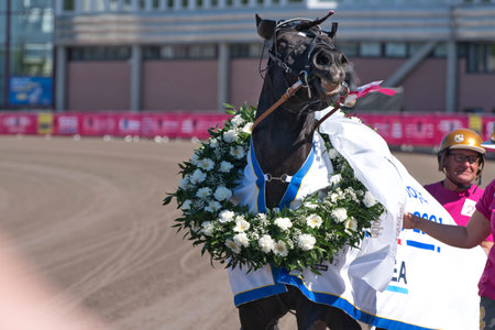 210530 Solvalla - The winner horse of Elitloppet Propulsionand the driver Orjan Kihlstrom win the final of the Elitloppet trotting event at Solvalla track in Stockholm Sweden. High quality photoのeditorial素材