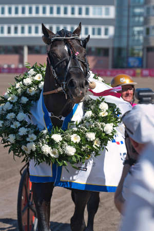 210530 Solvalla - The winner horse of Elitloppet Propulsionand the driver Orjan Kihlstrom win the final of the Elitloppet trotting event at Solvalla track in Stockholm Sweden. High quality photoのeditorial素材