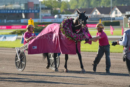 210530 Solvalla - The winner horse of Elitloppet Propulsionand the driver Orjan Kihlstrom win the final of the Elitloppet trotting event at Solvalla track in Stockholm Sweden. High quality photoのeditorial素材
