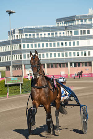 210530 Solvalla - The winner horse of Elitloppet Propulsionand the driver Orjan Kihlstrom win the final of the Elitloppet trotting event at Solvalla track in Stockholm Sweden. High quality photoのeditorial素材