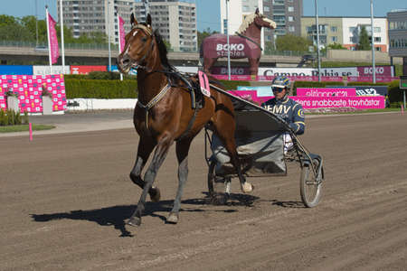 210530 Solvalla - The third place of Elitloppet Gareth Boko with driver Conrad Lugauer trotting event at Solvalla track in Stockholm Sweden. High quality photoのeditorial素材