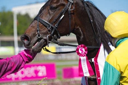 210530 Solvalla - The second place of Elitloppet VIVID WISE with driver Alessandro Gocciadoro trotting event at Solvalla track in Stockholm Sweden. High quality photoのeditorial素材