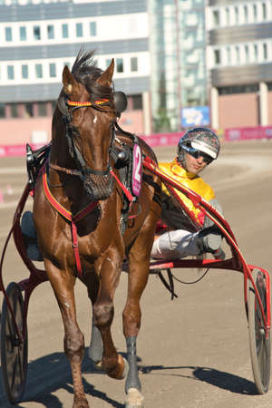 210530 Solvalla - Elitloppet GELATI CUT with driver Gabriele Gelormini trotting event at Solvalla track in Stockholm Sweden. High quality photoのeditorial素材