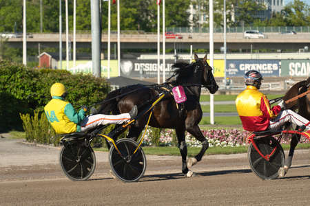 210530 - Elitloppet trotting event at Solvalla track in Stockholm Sweden. High quality photoのeditorial素材