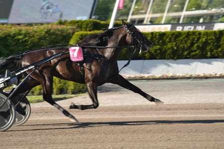 210530 - Elitloppet trotting event at Solvalla track in Stockholm Sweden. High quality photoのeditorial素材