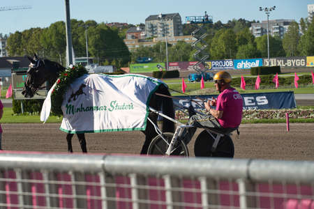 210530 - Elitloppet trotting event at Solvalla track in Stockholm Sweden. High quality photoのeditorial素材