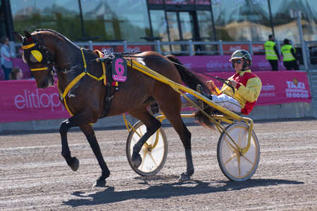 210530 Solvalla - Elitloppet BAHIA QUESNOT with driver Junior Guelpa trotting event at Solvalla track in Stockholm Sweden. High quality photoのeditorial素材
