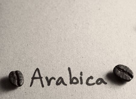 Roasted arabica coffee beans on paper texture with text, retro monotone color backgroundの写真素材