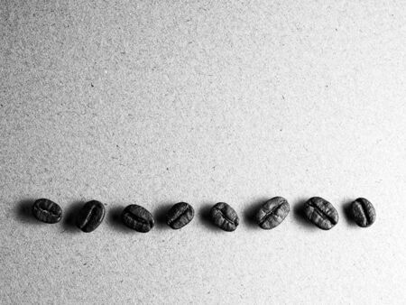 Roasted arabica coffee beans on paper texture with text, retro monotone color backgroundの写真素材