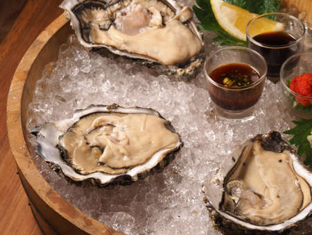 Oyster on iceの写真素材