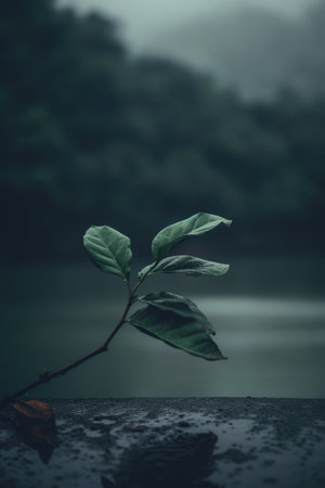 Green plant in the rain on the edge of the lake with misty background. AI Generated.の素材