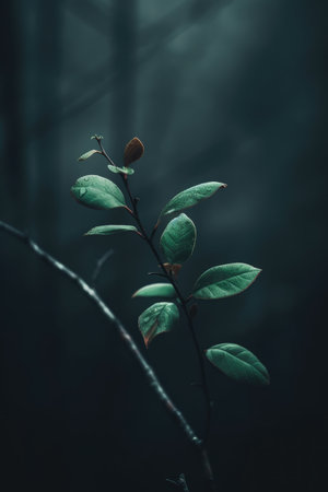 Tree branch with leaves in the dark forest. selective focus. AI Generated.の素材