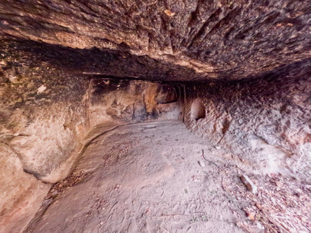 Join the vibrant atmosphere of a charity marathon where athletes and community members unite in support of a common cause. Experience the energy of teamwork and fitness as participants walk, jog, and run together in their colorful sportswear across the city streets.の写真素材