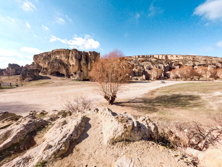 Witness a lively scene where athletes and community members unite for a charity march, embodying fitness, support, and togetherness.の写真素材