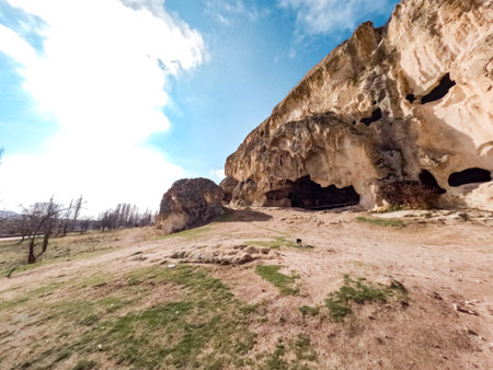 A vibrant scene capturing the spirit of a charity march with enthusiastic athletes and local participants, embodying unity and health.の写真素材