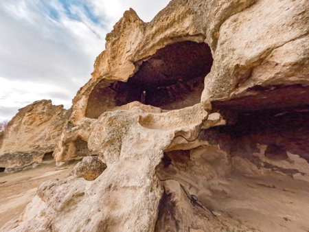 An inspiring group of athletes and volunteers taking part in a charity march, promoting fitness and community awareness through active participation.の写真素材