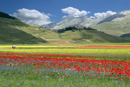 Blossoming time in a wonderful Italian valleyの写真素材