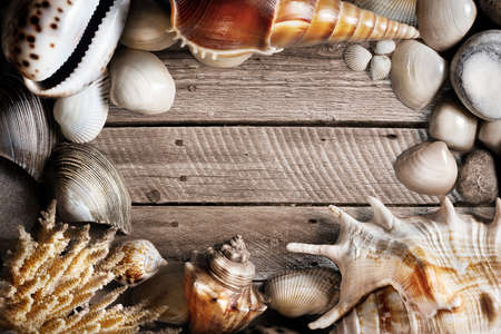 Seashells, coral and stones on wooden textured background with free space for text