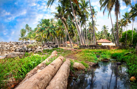 Tropical fisherman village in palm tree forest near the lake in Varkala, Kerala, Indiaの写真素材