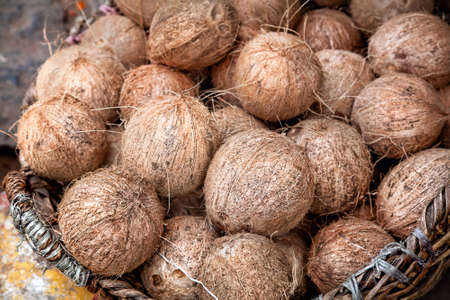 Pile of coconuts in the basket at the market in India の写真素材